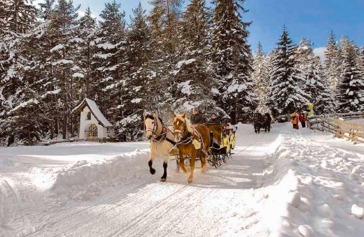 Appartmenthaus Birkenwald Seefeld in Tirol Exteriér fotografie
