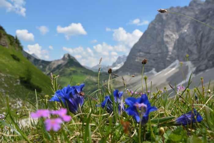 Appartmenthaus Birkenwald Seefeld in Tirol Exteriér fotografie