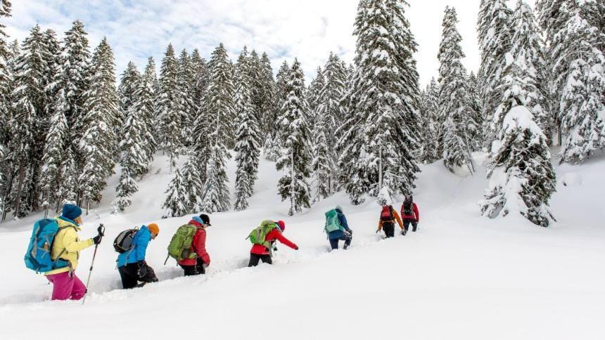 Appartmenthaus Birkenwald Seefeld in Tirol Exteriér fotografie